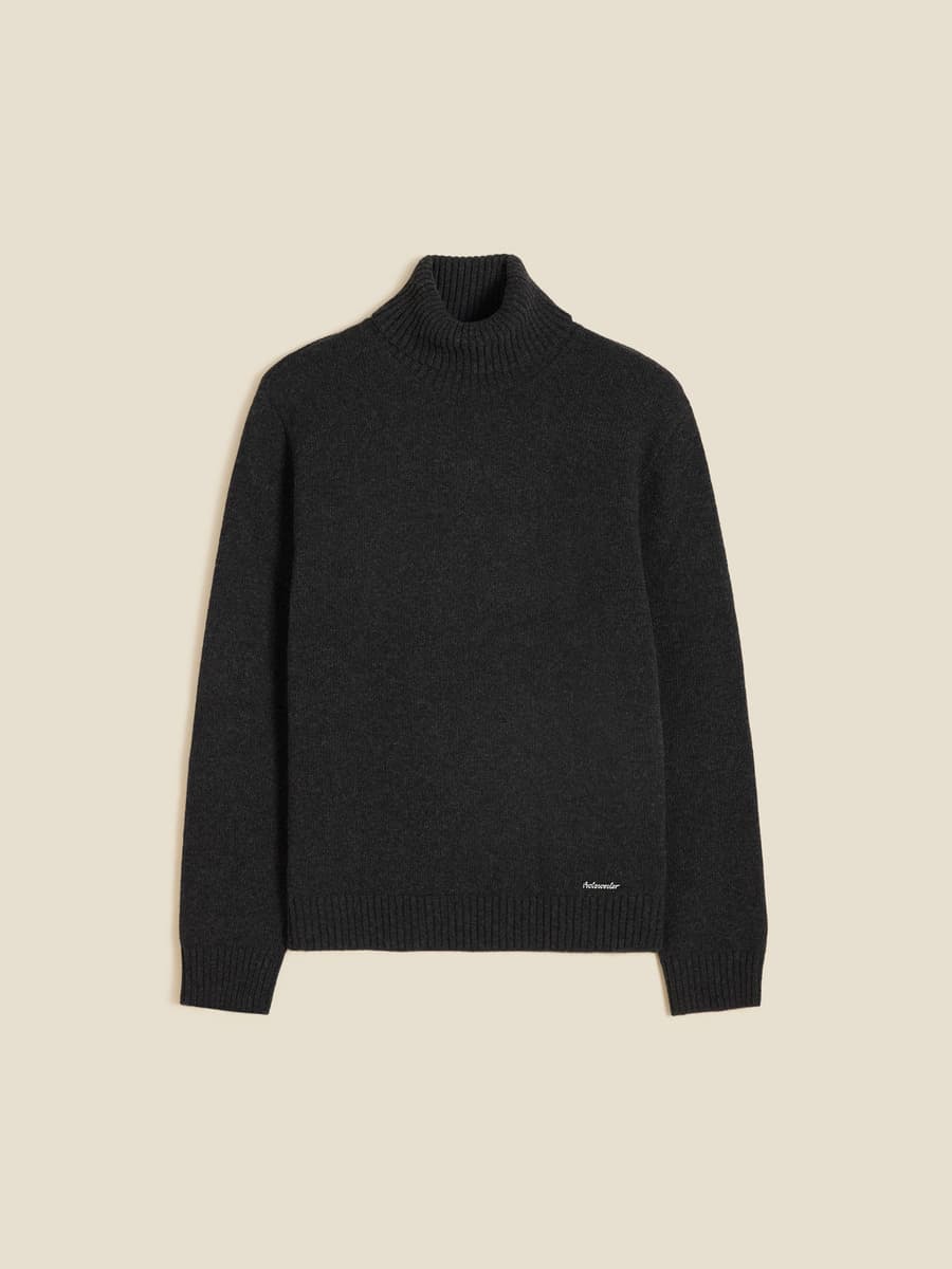 M. Lambswool knit Turtle