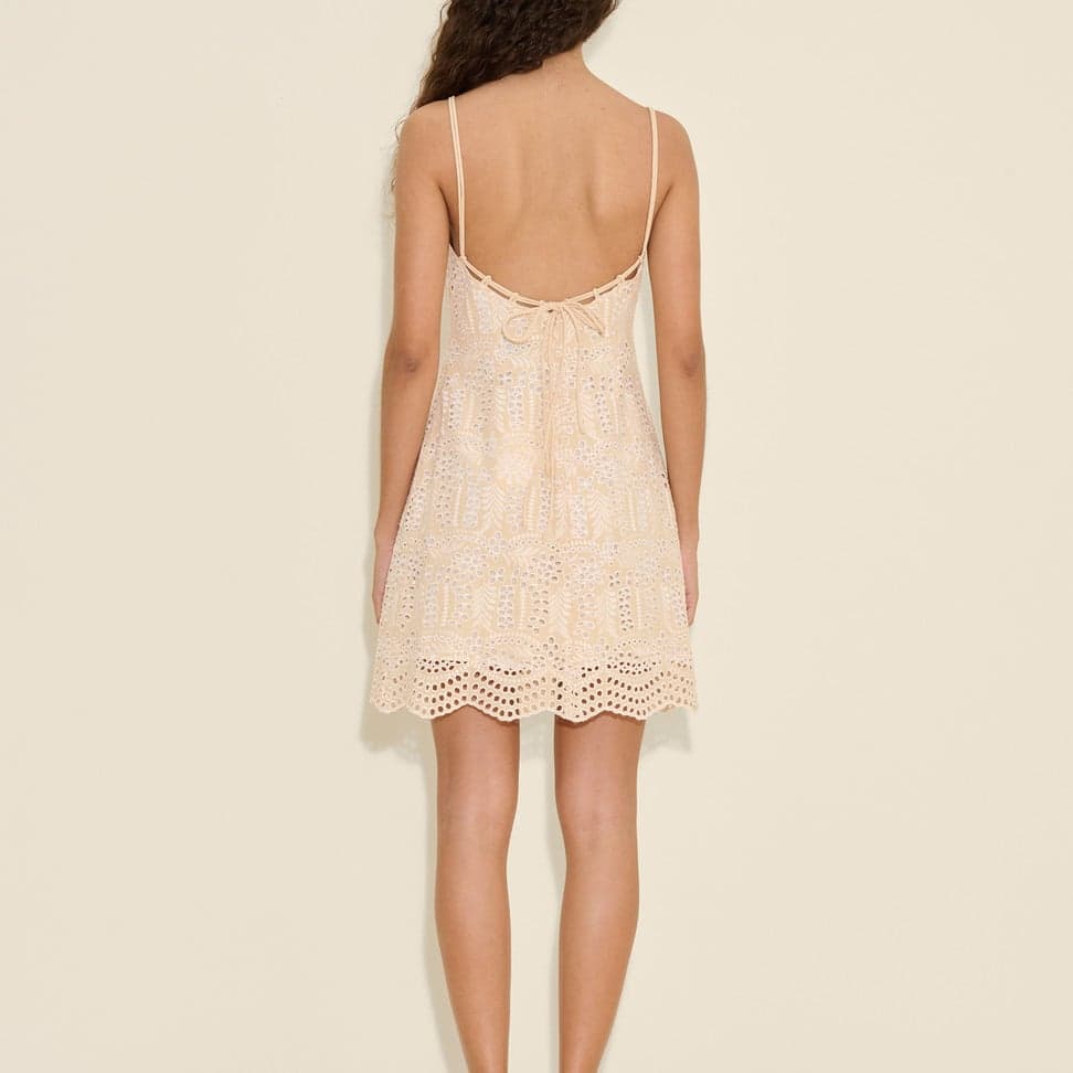 Gabriela Lace Dress